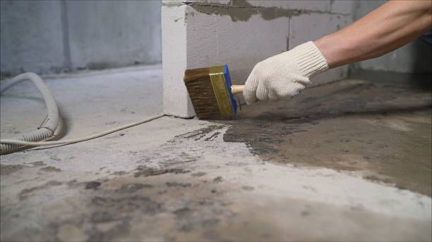 SJ Waterproofing Pros Waterproofing coverage map for Petersburg, MI and surrounding area